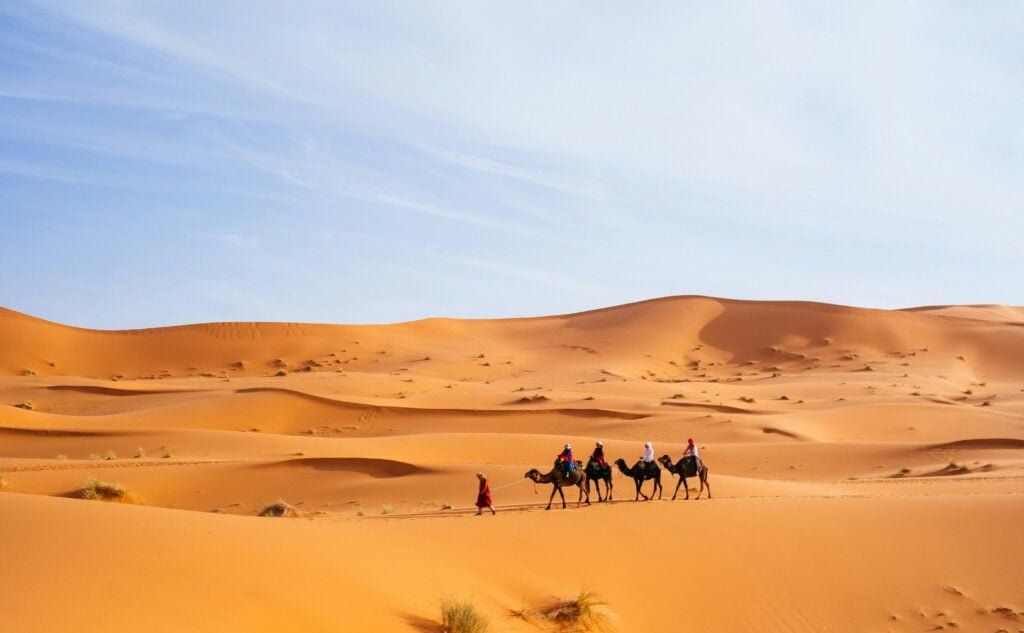 pexels-saad-jebbour-3239935-4869960